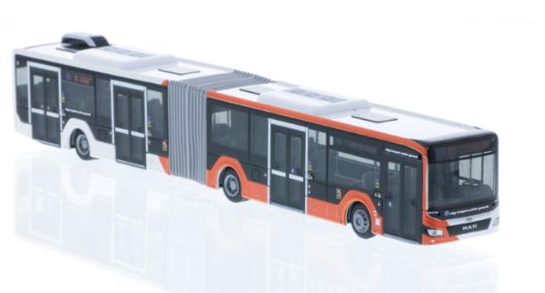 Lion's City "TPG Geneve"