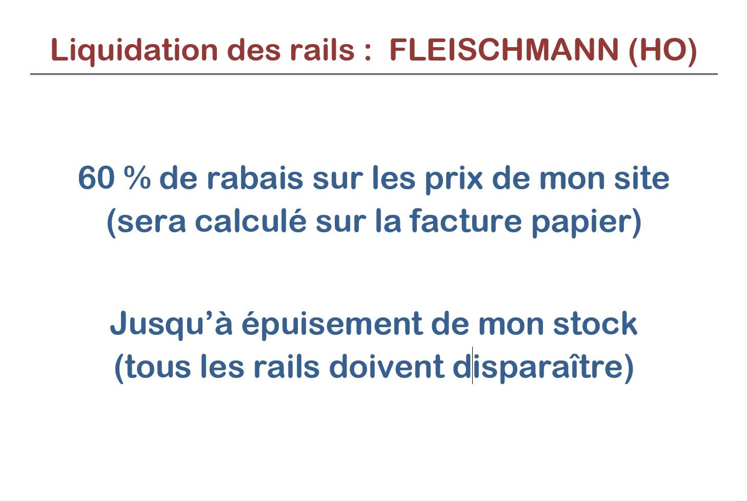 ACTION : Rails Fleischmann