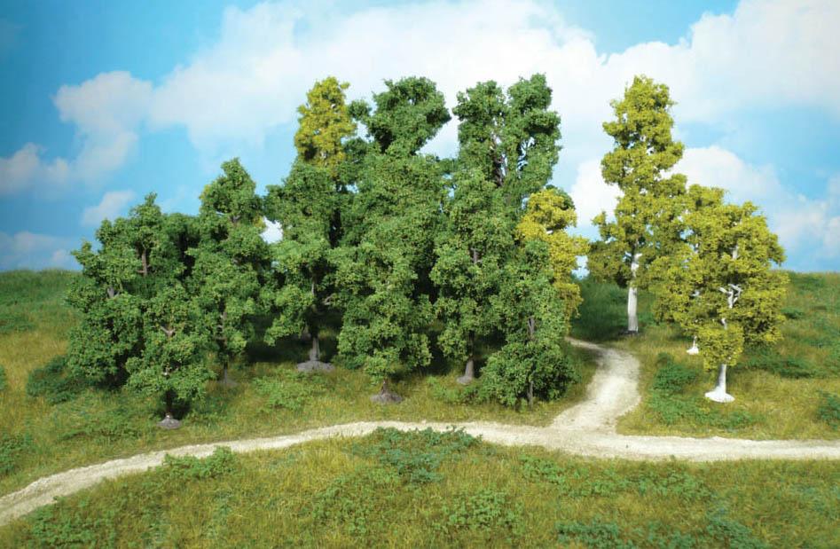 assortiment de 10 arbres